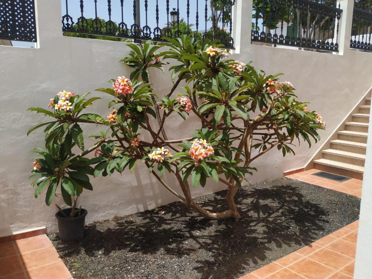 Punta Negra Apartamento Puerto de Santiago  Exterior foto